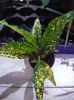 P1120800