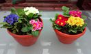 20150220_142053