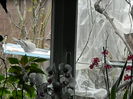 DSCN0129