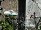DSCN0131