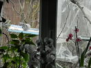 DSCN0133