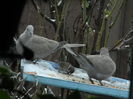 DSCN0378