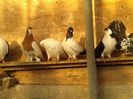 20150220_080626