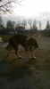 WP_20150221_003