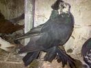 IMG-20141026-01046