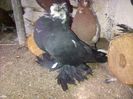 IMG-20141026-01045