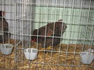 IMG_9440