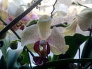IMG_20150221_145854