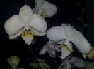 IMG_20150222_094400