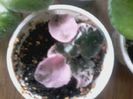 20150222_114917