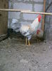 DSC05206