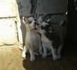 IMG_20150219_211303