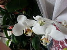 20150222_045359