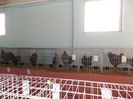 DSCN0270