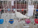 DSCN0277
