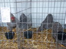 DSCN0291