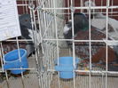 DSCN0292