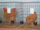 DSCN0298