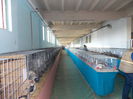 DSCN0317