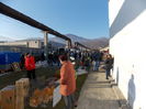 DSCN0318