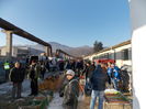 DSCN0319