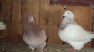DSC06657