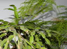 DSCN4181