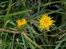 DSCN4383
