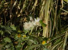 DSCN4385