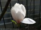 Chrystal_Chalice_bgc_neu_SAFE