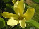 daphne_heinz_neu_safe