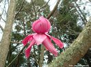 darjeeling_vance_neu_safe