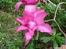 elizabeth_Holman_vance_neu_safe