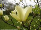 golden_pond_aktuell_koen_safe
