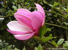 Lileny_02.160409_safe