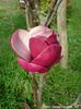nancy_vance09_safe
