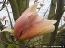 Peachy_jo09_safe