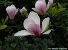 Peter_Smithers_01.160409_safe