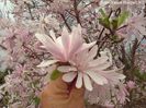 RASPBERRY_FUN2_VANCE_safe