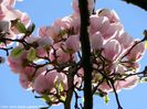 san_jose_bjarne_neu_safe