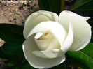 st_george_bjarne_neu_safe