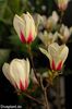 Sunrise_group_safe