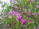 susan_bjarne_neu_safe