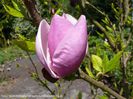 Sweet_Simplicity_bgc_neu_SAFE