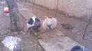 IMAG0339