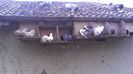 IMAG0331