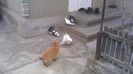 IMAG0324