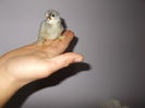 DSCN0362