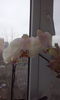 CAM00430