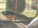 Picture 1210